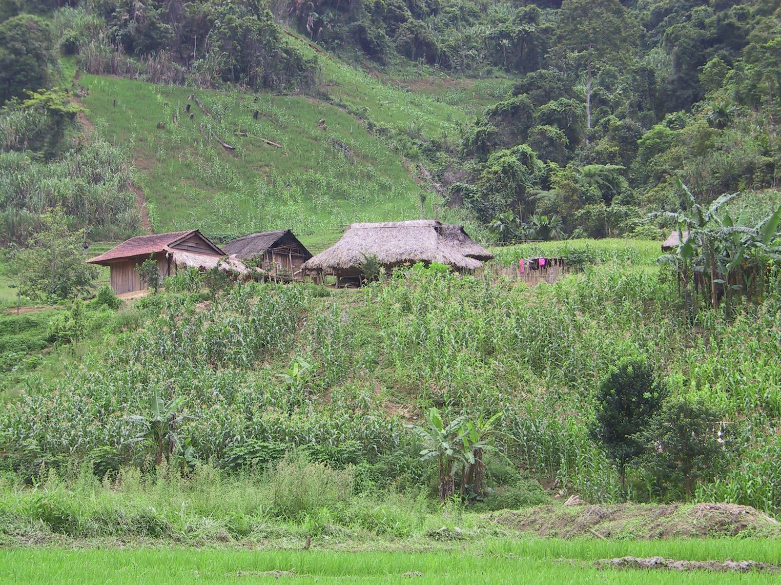 Visite Plantation Dalat MORÈRE 1897
