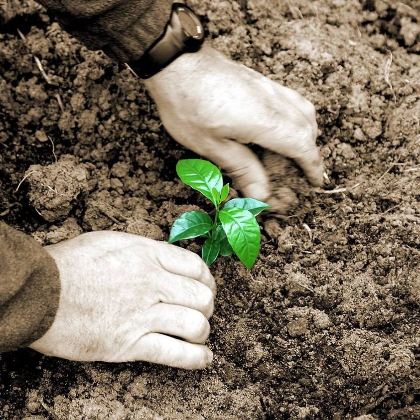 Commerce équitable café Vietnam - Pierre Morère ethnie Mong Chil Dalat